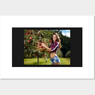 Beautiful woman picking apples Posters and Art